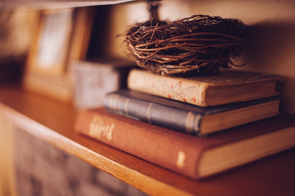 Old Books Wood Shelf Birds Nest Warm Tones